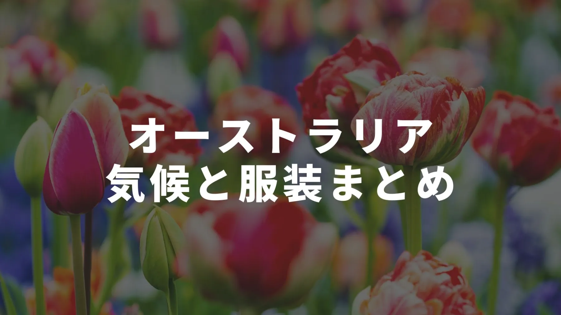 オーストラリアの各都市の気候 気温は 現地の服装ガイド年版 オーストラリア留学知恵袋